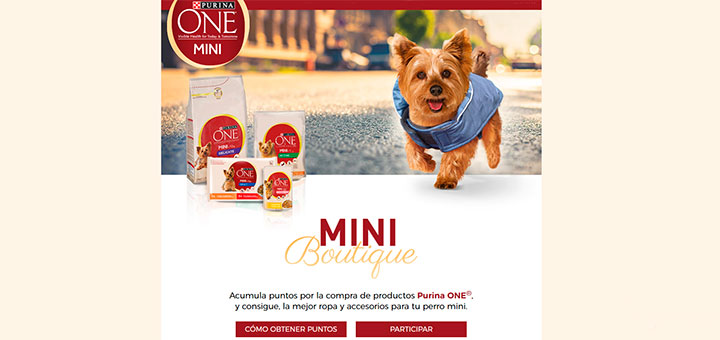 Consigue ropa y accesorios para tu perro con Purina One