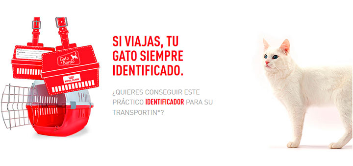 Consigue un práctico identificador para tu gato con Royal Canin