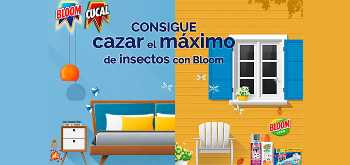 Sortean 2 lotes de Bloom diarios