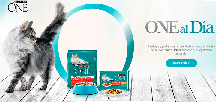 Gana muestras gratis del nuevo Purina One húmedo