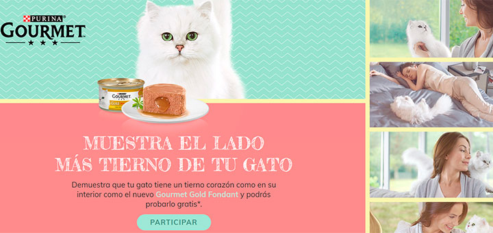 Prueba gratis el nuevo Gourmet Gold Fondant de Purina