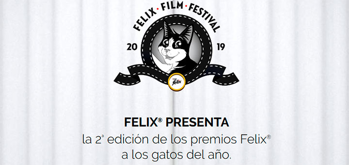 2º Edición de los premios Felix a los gatos del año