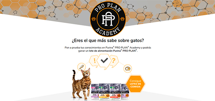 Gana un lote de alimentación Purina Pro Plan