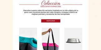 Consigue ropa y accesorios para tu perro mini con Purina One Consigue ropa y accesorios para tu perro mini con Purina One