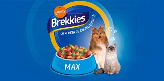 Consigue gratis tu bol personalizado de Brekkies Consigue gratis tu bol personalizado de Brekkies