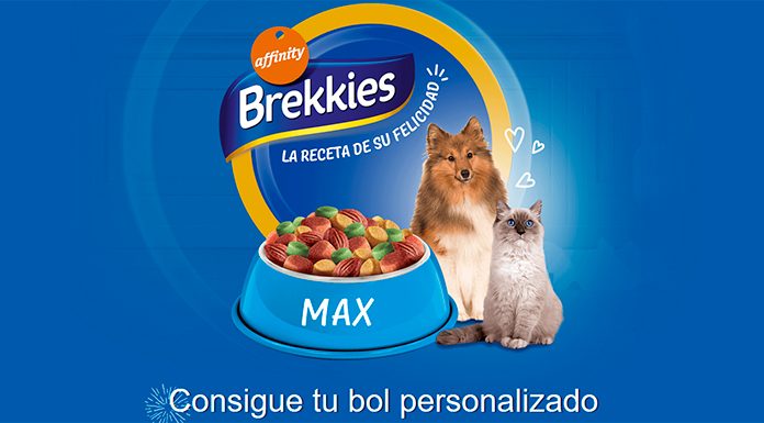 Consigue gratis tu bol personalizado de Brekkies