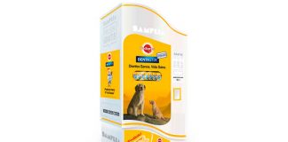 Prueba gratis Dentastix de Pedigree