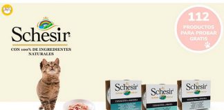 Wamiz da a probar gratis latas de comida para gato Schesir Wamiz da a probar gratis latas de comida para gato Schesir