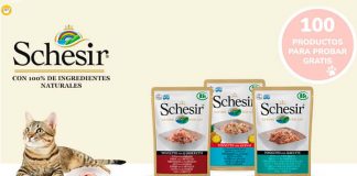 Wamiz regala 100 productos Schesir gratis Wamiz regala 100 productos Schesir gratis
