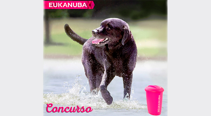 Eukanuba sortea 2 premios para perros