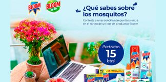 Sorteo de 15 lotes de productos Bloom en Tu Casa Club Sorteo de 15 lotes de productos Bloom en Tu Casa Club
