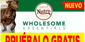 Prueba gratis Nutro Wholesome Essentials Prueba gratis Nutro Wholesome Essentials