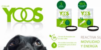 Kuvut da a probar gratis el collar Yoos Kuvut da a probar gratis el collar Yoos