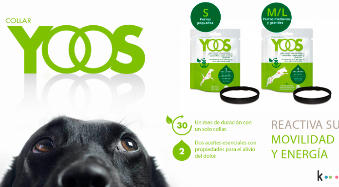 Kuvut da a probar gratis el collar Yoos