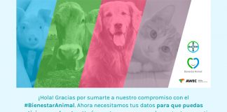 Sorteo Bienestar Animal de Bayer Sorteo Bienestar Animal de Bayer