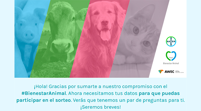 Sorteo Bienestar Animal de Bayer