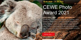 Concurso de fotografía «Our world is beautiful» Concurso de fotografía "Our world is beautiful"