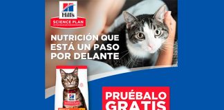 Prueba gratis Hill’s Science Plan Prueba gratis Hill's Science Plan