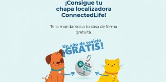 Consigue tu chapa localizadora ConnectedLife Consigue tu chapa localizadora ConnectedLife