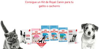 Gratis un kit de Royal Canin para tu gatito o cachorro Gratis un kit de Royal Canin para tu gatito o cachorro
