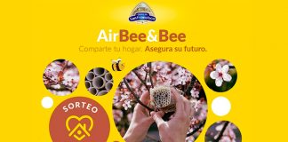 Consigue un nido de abejas con Granja San Francisco Consigue un nido de abejas con Granja San Francisco