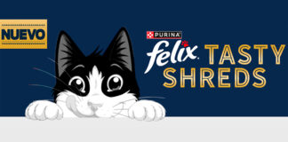 Gana un lote de productos Felix para tu gato Gana un lote de productos Felix para tu gato