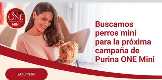 Purina ONE Mini busca perros Purina ONE Mini busca perros