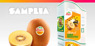 Prueba gratis Zespri con Samplia Prueba gratis Zespri con Samplia