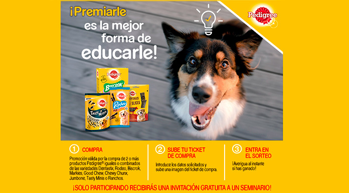 Gana una sesión de educación canina con Mars Pedigree