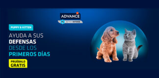 Prueba gratis Puppy & Kitten de Advance