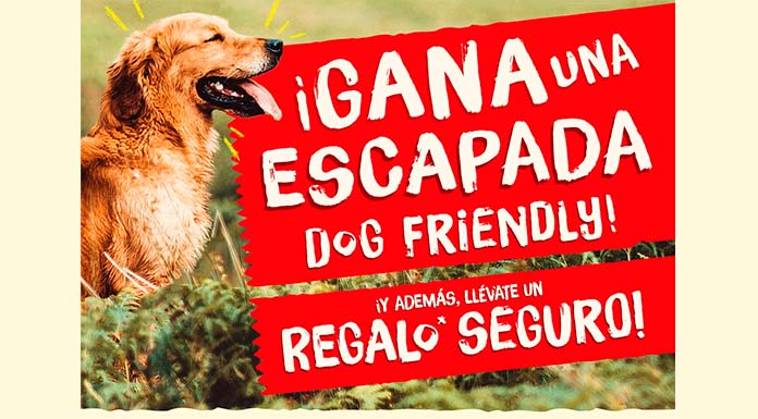 Gana una escapada Dog Friendly con encanto con Purina