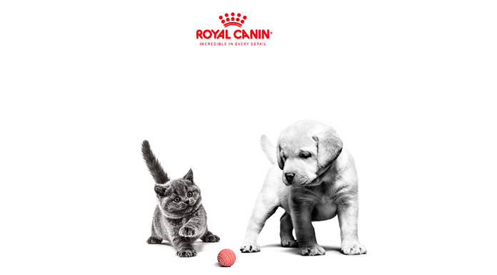 Muestras gratis de Royal Canin para gatos