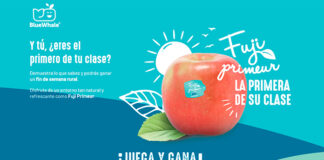 Gana un fin de semana rural con BlueWhale Gana un fin de semana rural con BlueWhale