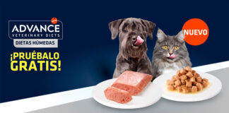 Prueba gratis las nuevas dietas veterinarias húmedas de Advance Veterinary Diets