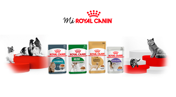 Consigue un sobre gratis de comida húmeda de Royal Canin