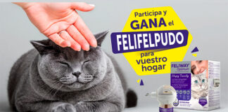 Gana un FeliFelpudo con Feliway Gana un FeliFelpudo con Feliway