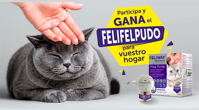 Gana un FeliFelpudo con Feliway