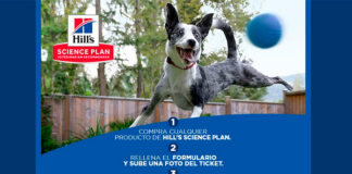 Consigue premios con Hill’s Science Plan Consigue premios con Hill's Science Plan