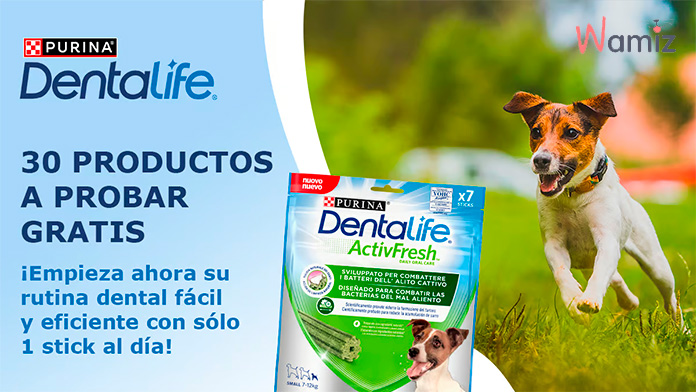 Gratis Dentalife ActivFresh con Wamiz