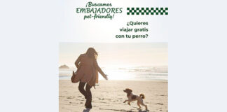 Viaja gratis con tu perro con Ruralka Viaja gratis con tu perro con Ruralka