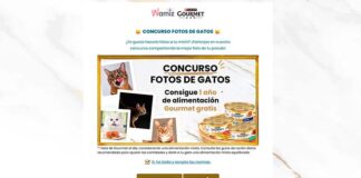 Concurso Foto Gatos Wamiz Concurso Foto Gatos Wamiz