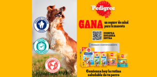 Gana un seguro de salud para tu mascota con Pedigree Gana un seguro de salud para tu mascota con Pedigree