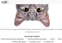 BoletĂn mensual de Catit + premios BoletĂn mensual de Catit + premios