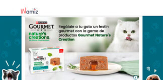 Concurso Wamiz para tu mascota Concurso Wamiz para tu mascota