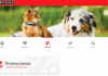 Gana premios con Purina Gana premios con Purina