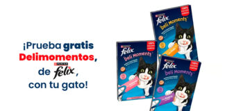 Prueba gratis Delimomentos de Felix con Wamiz Prueba gratis Delimomentos de Felix con Wamiz