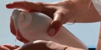 Sorteo de Biotherm para hombre Sorteo de Biotherm para hombre