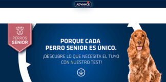 Test para perro senior Advance Test para perro senior Advance