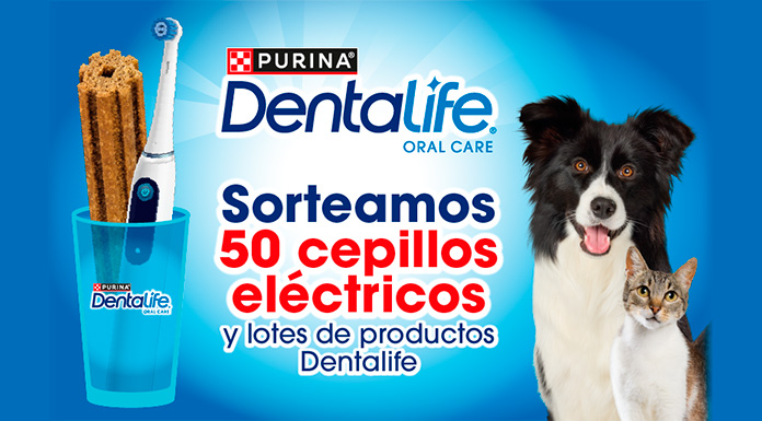 Sorteo de Purina Dentalife