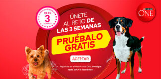 Reto de Purina One Reto de Purina One